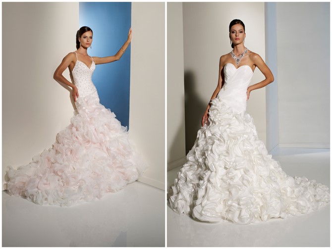 Sophia Tolli Ireland